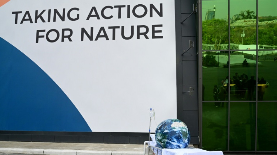  Deal still eludes nations on final day of UN nature talks 