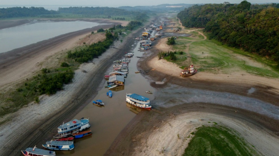 Le changement climatique derri&egrave;re la s&eacute;cheresse d&eacute;vastatrice de l'Amazonie en 2023, selon une &eacute;tude