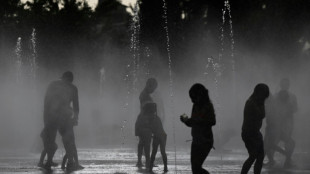 Espa&ntilde;a combate varios incendios forestales en plena ola de calor