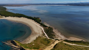 Albanien: Neue Proteste gegen Bauprojekt von Trump-Schwiegersohn in Naturschutzgebiet
