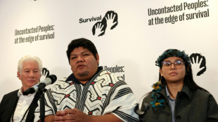Metade dos povos indígenas isolados do mundo pode desaparecer em dez anos, adverte ONG