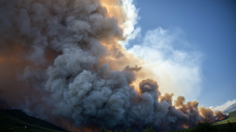  Water bombers take to skies as Greece battles wildfires 