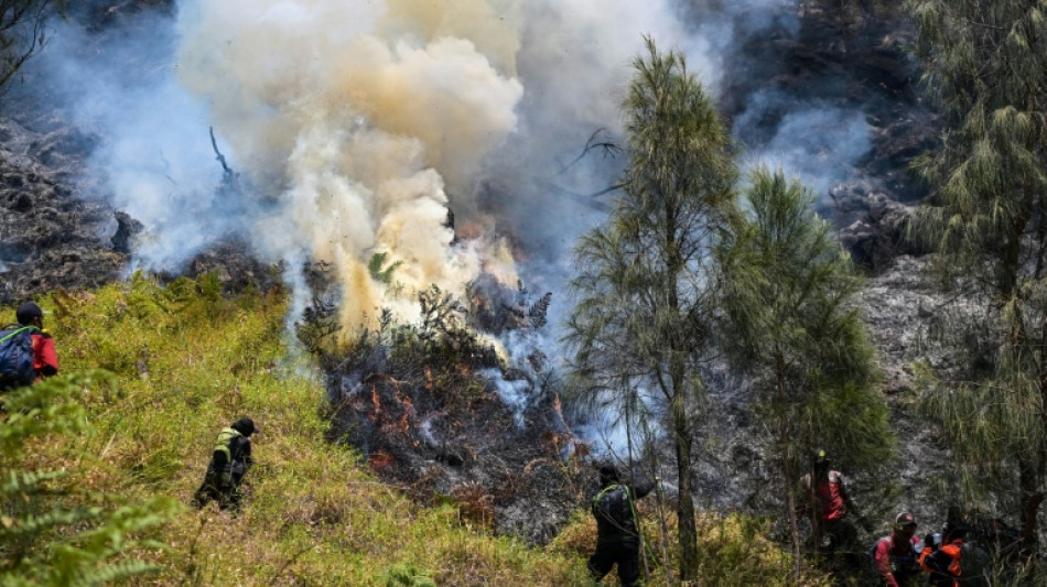  Indonesia lucha contra incendio en el monte Bromo mientras se instala El Ni&ntilde;o 