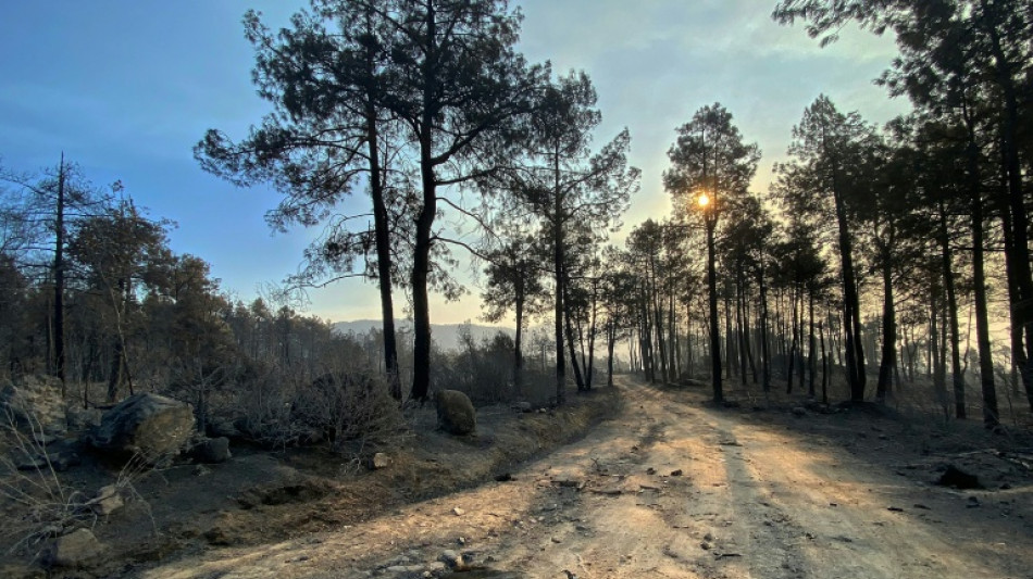  Espanha e Fran&ccedil;a enfrentam dias cruciais para conter inc&ecirc;ndios antes de nova onda de calor 