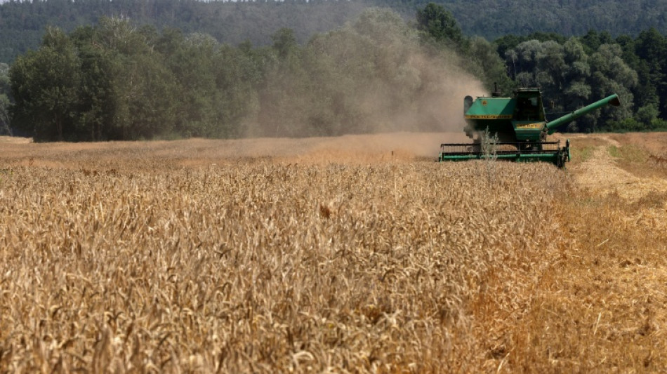  Kyiv 'cannot agree' to EU membership limiting food exports: minister 