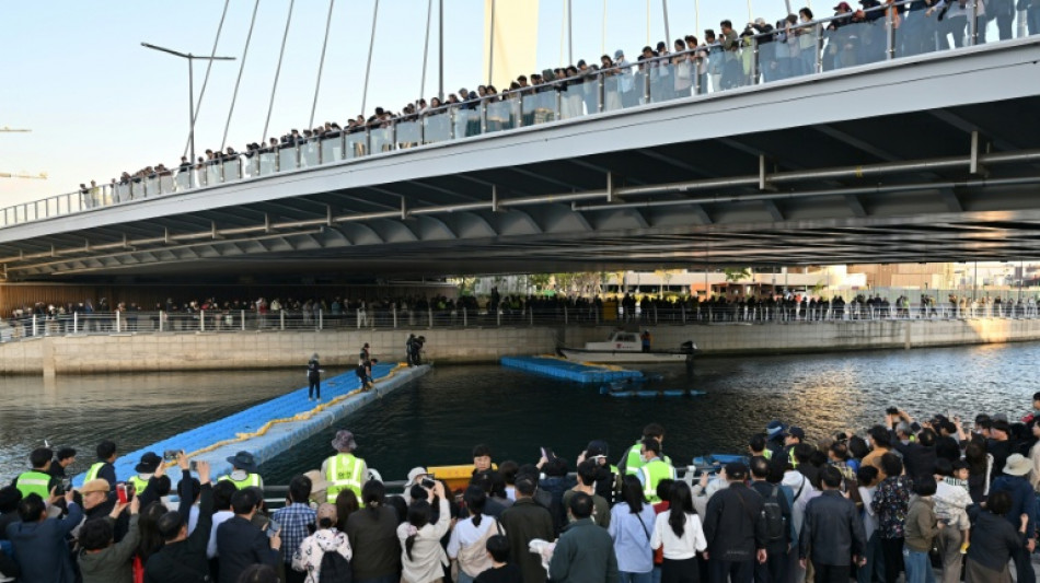  South Korea's celebrity shark back in canal, prompting new rescue bid 