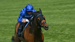 Trawlerman and Buick move into top gear to land Ascot Gold Cup