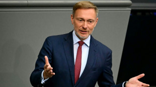 Lindner r&auml;umt Unzufriedenheit mit eigenem Haushaltsentwurf ein