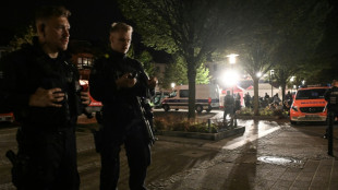 Allemagne : une attaque au couteau lors d'un festival fait trois morts et des bless&eacute;s