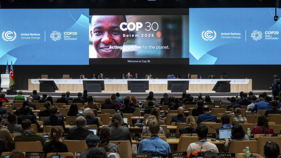 Direttrice Cop 30, 'l'Ue non arretri sul clima'