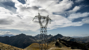 EU-Energieminister wollen Gewinnabsch&ouml;pfung beschlie&szlig;en