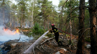 Fire ravages historic forest outside Paris