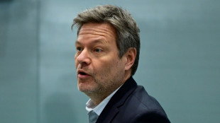 Blockade von Habecks F&auml;hre sorgt partei&uuml;bergreifend f&uuml;r Kritik 