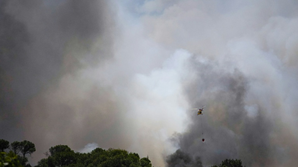  Un feu de for&ecirc;t fait 12 morts pr&egrave;s d'Almeria, dans le sud de l'Espagne 