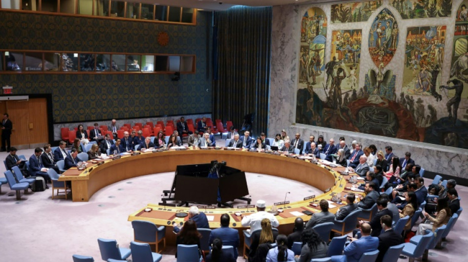 EEUU veta en la ONU resoluci&oacute;n para pedir alto el fuego en Gaza