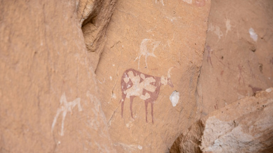 Au Tchad, sur les traces du "Sahara vert" de l'Ennedi