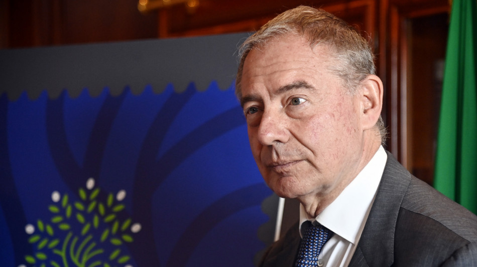 Urso, bene l'Ue sui dazi per le auto elettriche cinesi