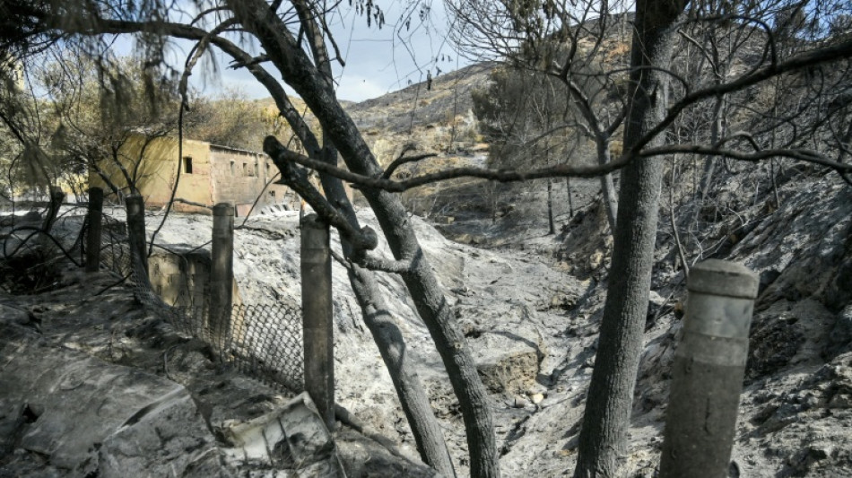  Un incendio en el noreste de Espa&ntilde;a calcina m&aacute;s de 12.000 hect&aacute;reas 