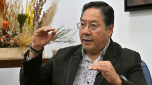 Bolivia puede entrar en default sin nuevo financiamiento, dice presidente Arce a la AFP