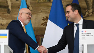 La France va fournir 12 canons Caesar suppl&eacute;mentaires &agrave; l'Ukraine