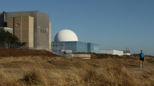 Nucl&eacute;aire: feu vert de Londres &agrave; Sizewell C, dont le co&ucirc;t enfle encore