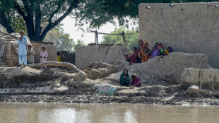 Mujeres obligadas a permanecer en su pueblo inundado para salvar su "honor" en Pakist&aacute;n