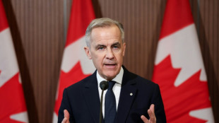 Le Canada impose des droits de douane de 25% sur des importations auto am&eacute;ricaines