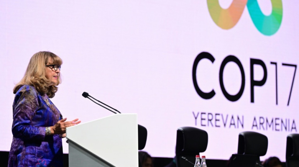  COP17 sobre biodiversidade entra na reta final sem perspectiva de consenso 