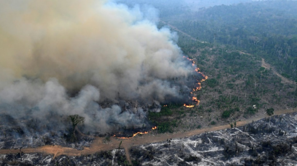 Desmatamento na Amaz&ocirc;nia destruiu &aacute;rea equivalente ao territ&oacute;rio colombiano em 40 anos
