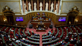 Pouvoir d'achat: poursuite des d&eacute;bats au S&eacute;nat sur fond d'inqui&eacute;tude persistante