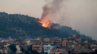 Más de 4.000 hectáreas devastadas por las llamas en la isla griega de Quíos