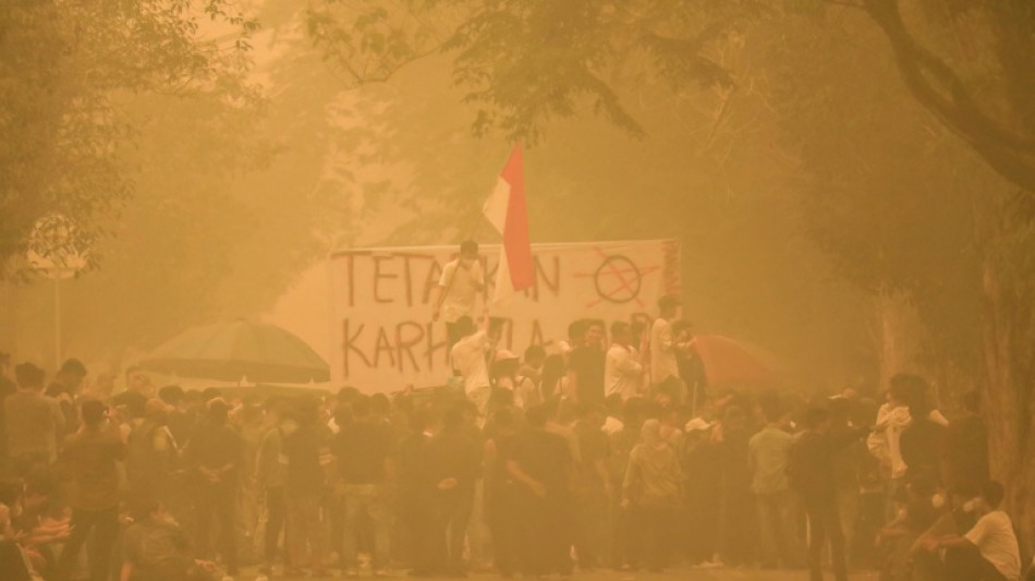  Fire pollution killed 3,560 people in Indonesia in September: report  
