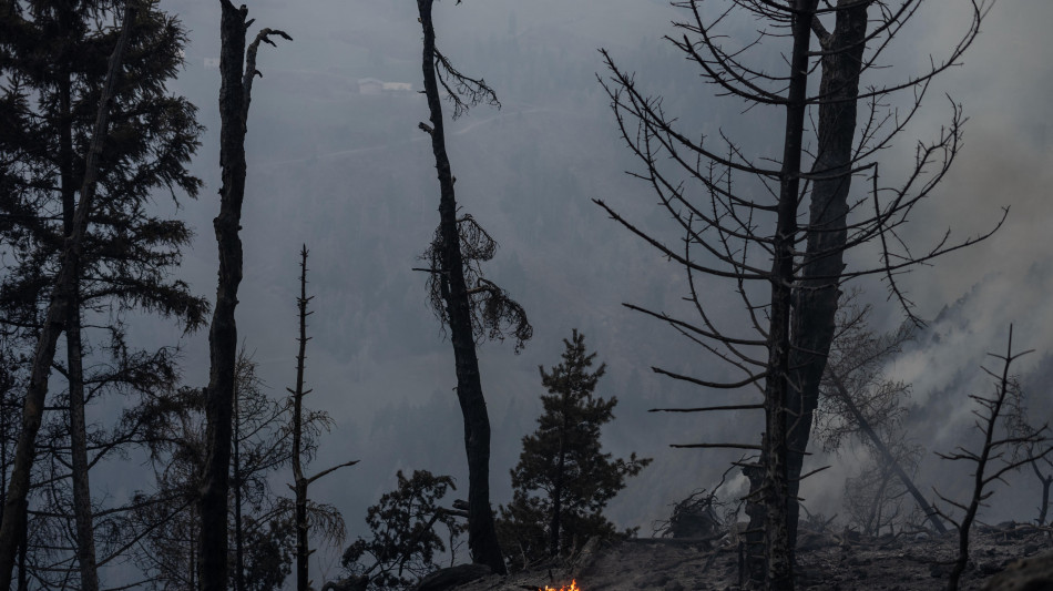  L'Europa del Triassico era un inferno, con incendi durati migliaia di anni 