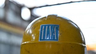 A maggio le societ&agrave; interessate in visita al sito ex Ilva