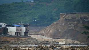 Alpacas, mini pigs on the loose after floods hit south China zoo