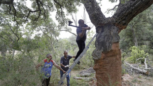 El desempleo en la eurozona alcanz&oacute; en mayo su menor nivel hist&oacute;rico, del 6,6%