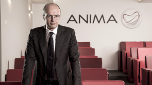 La raccolta di Anima ad agosto positiva per 325 milioni