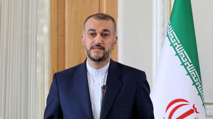 Ir&aacute;n dice que est&aacute; decidido a proteger sus intereses nucleares