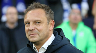 Breitenreiter will TSG in erfolgreiche Zukunft f&uuml;hren