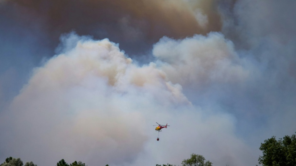  Sechs Tote durch Waldbrand im s&uuml;dspanischen Andalusien 