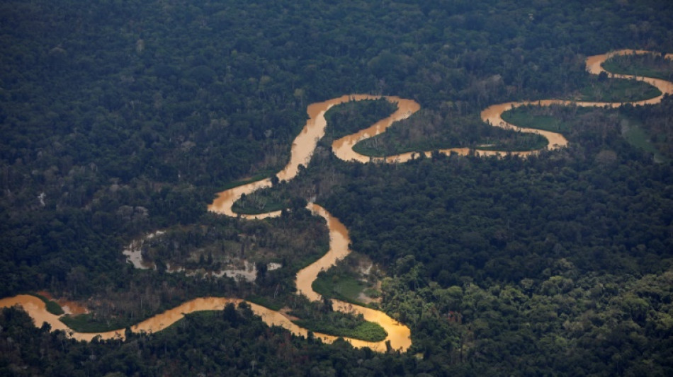 Brasiliens Parlament schr&auml;nkt Befugnisse des Ministeriums f&uuml;r Indigene ein