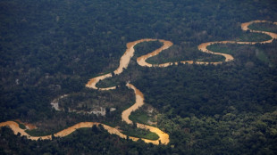 Brasiliens Parlament schr&auml;nkt Befugnisse des Ministeriums f&uuml;r Indigene ein