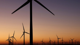 Con Trump, la energ&iacute;a e&oacute;lica entra en terreno desconocido en EEUU