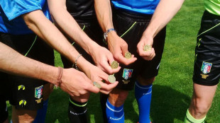 Studio di fattibilit&agrave; Harpalis, 'Aia autonoma si pu&ograve;'