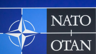 US-General Cavoli wird neuer Nato-Milit&auml;rchef