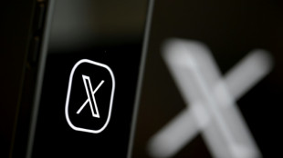 X et la classe politique, le foss&eacute; entre la parole et les actes