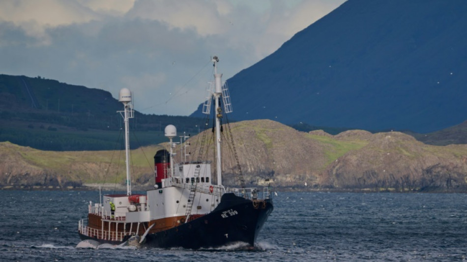 Iceland to resume whaling under stricter conditions