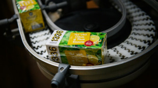 RETOUR SUR Sans patron, l'usine des ex-Elephant carbure toujours au th&eacute;