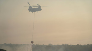 Chypre: deux morts dans un feu de forêt attisé par la chaleur