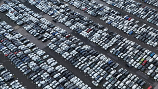 Los veh&iacute;culos el&eacute;ctricos pierden terreno en el mercado europeo, que crece al ralent&iacute;